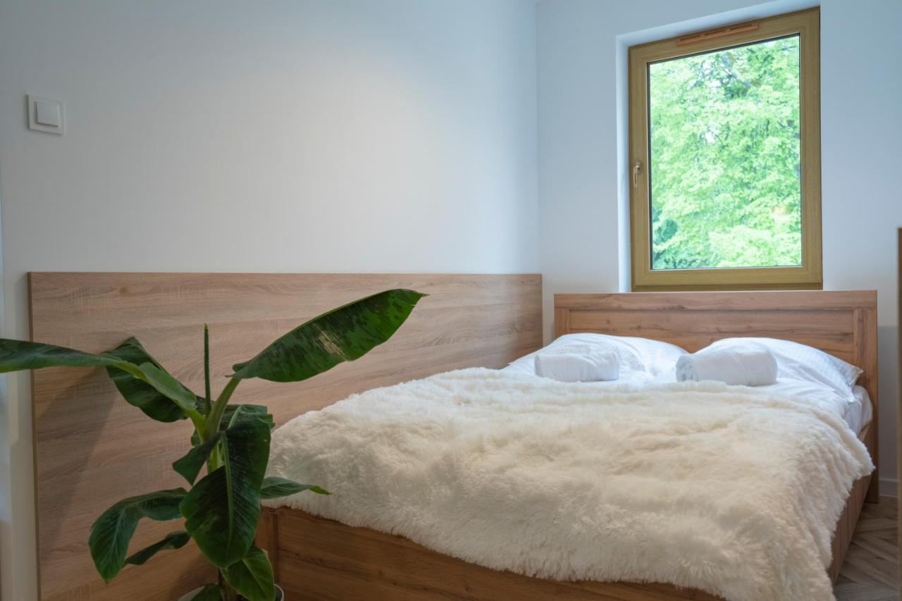 Apartament Apartament Kilinskiego 17 Szklarska Poręba Zewnętrze zdjęcie
